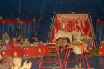 Zirkus1