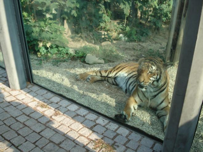 Zoo Halle